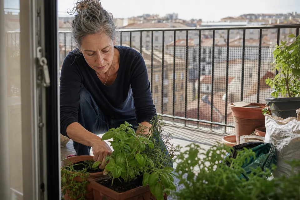 A woman in her late forties arranging potted herbs on the balcony of her new apartment